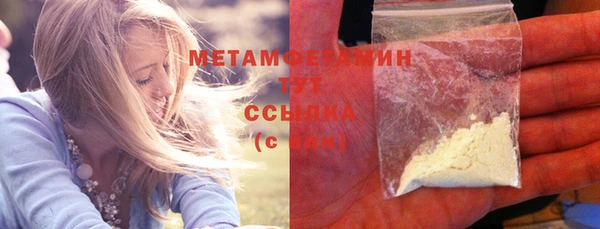 шишки Кодинск