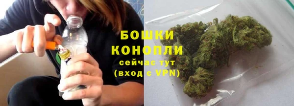 шишки Кодинск