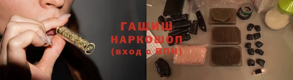 шишки Кодинск
