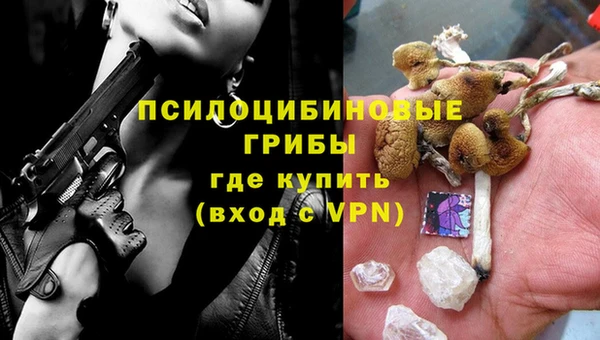 шишки Кодинск