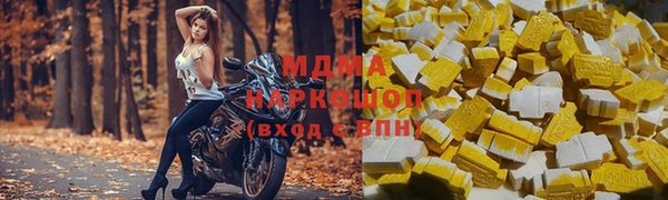 шишки Кодинск